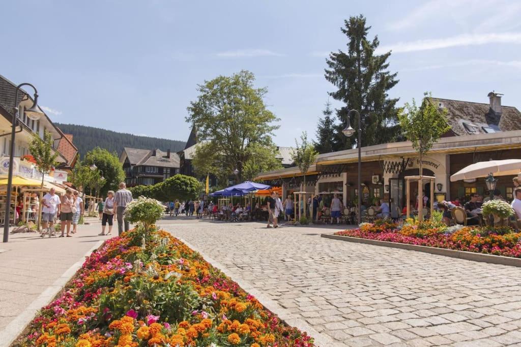 Waldoase Titisee Экстерьер фото