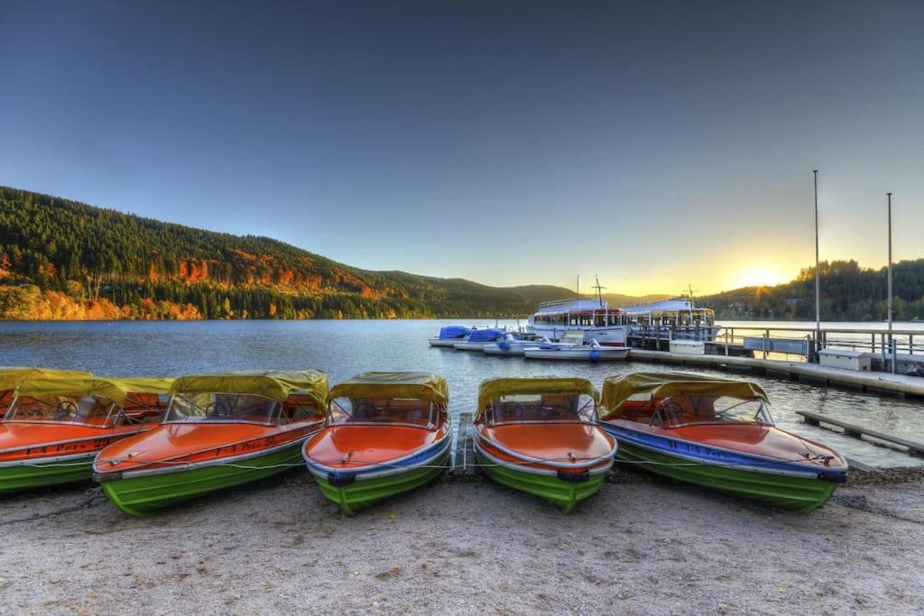 Waldoase Titisee Экстерьер фото