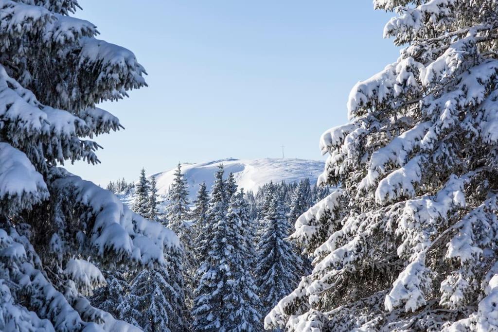 Waldoase Titisee Экстерьер фото